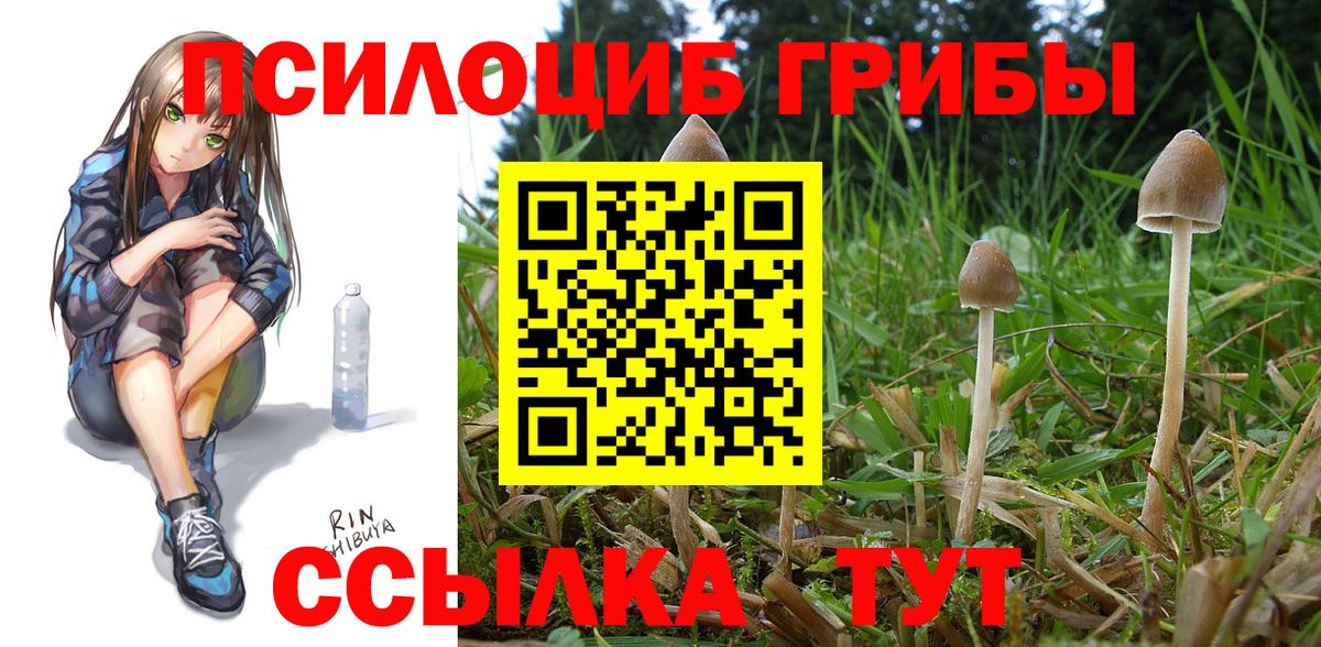 Псилоцибиновые грибы прущие грибы Майский
